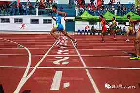 2025WTA生育支持制度，其他个人项目可以学习什么